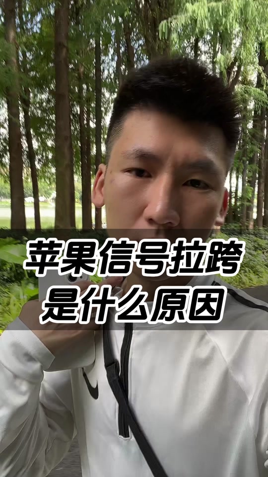 苹果公开版双网通怎么看苹果手机是全网通还是双网通